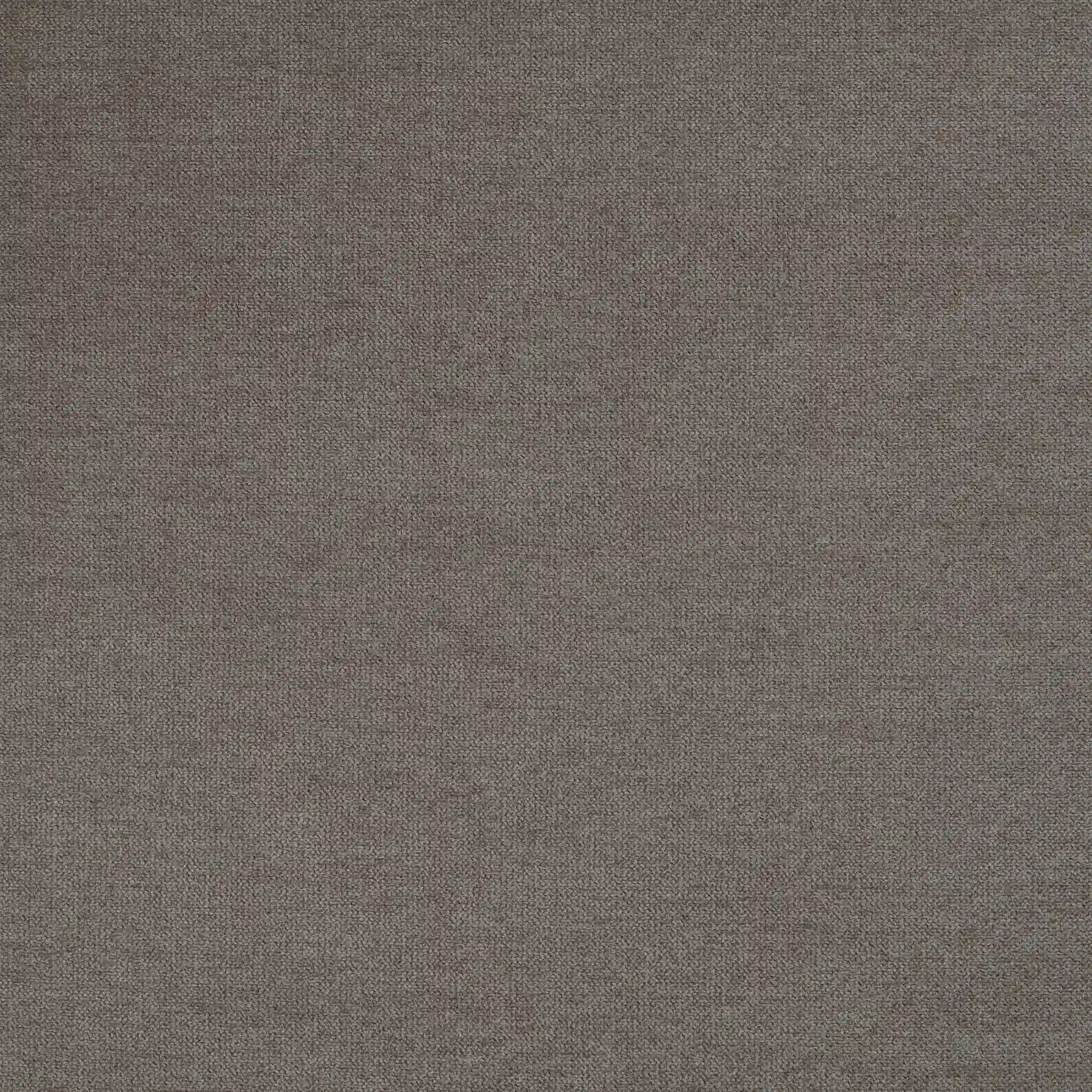 Tela Gris Seminido 02