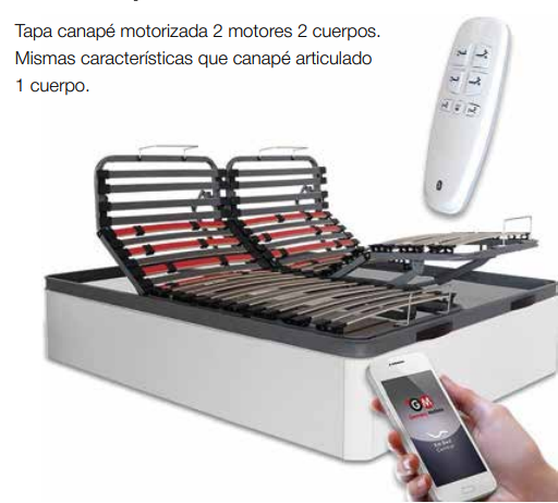 Canapé articulado 2 cuerpos