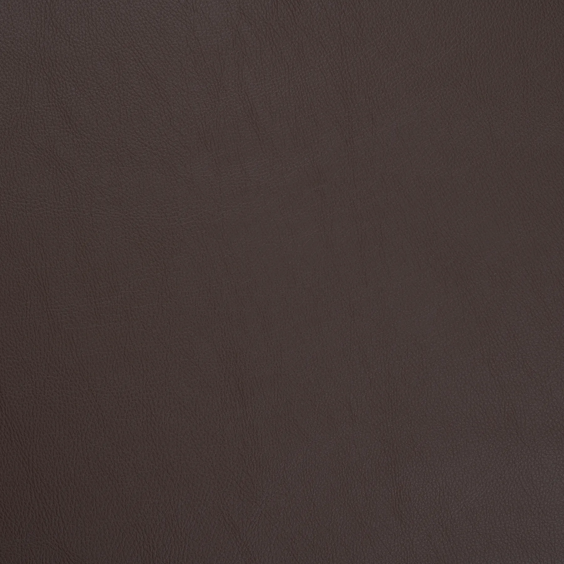 Polipiel Chocolate